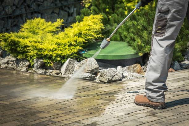 Best Building Exterior Washing  in Medina, NY